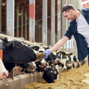 Experto en Animales de Granja - On Line