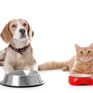 Nutrición de Animales - On Line